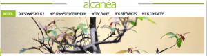 Alcanea