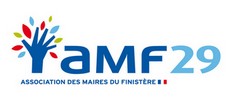 amf29