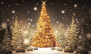fond_d_ecran_sapin_de_noel-christmas_tree_wallpaper